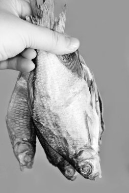 Kurutulmuş tuzlu balık, bira için lezzetli bir aperatif