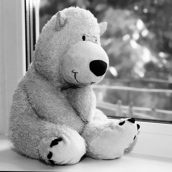 Speelgoed ijsbeer zit op de vensterbank — Stockfoto