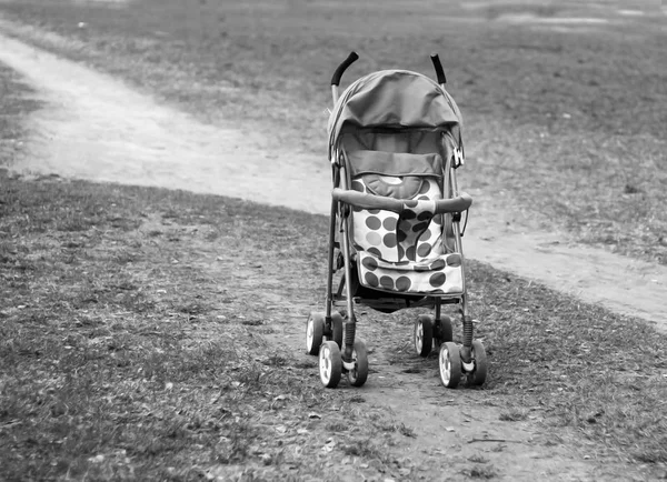 Een Baby Wandelwagen Het Gras — Stockfoto