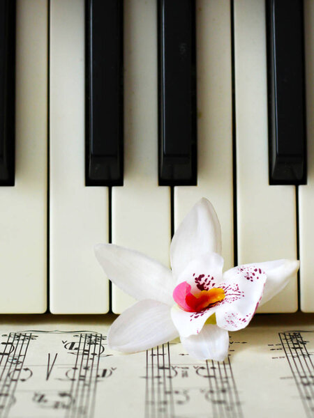 March 28, 2018. Izhevsk, Russia. Musical notes, piano. Orchid.