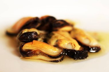 midye, beyaz arka planda, lezzetli deniz ürünleri makro