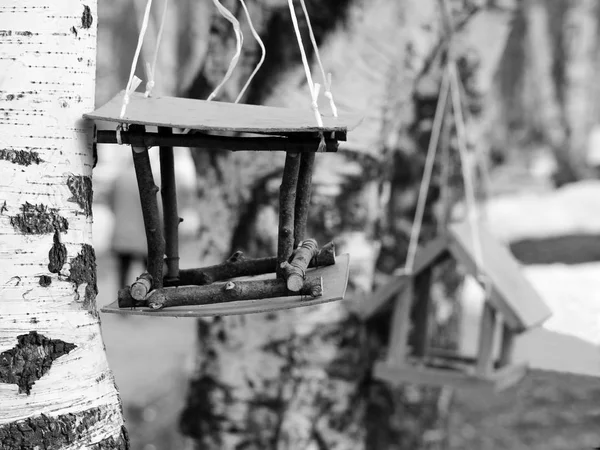 Birdhouse na břízovém stromě. Hnízdící krabice na stromě v parku, pramen. — Stock fotografie