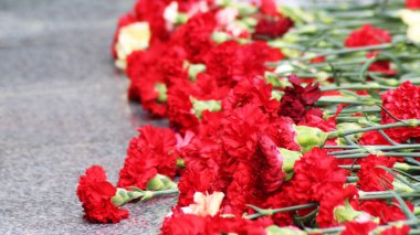 Kırmızı karanfil çiçek bir anıt üzerinde kurulu mermer