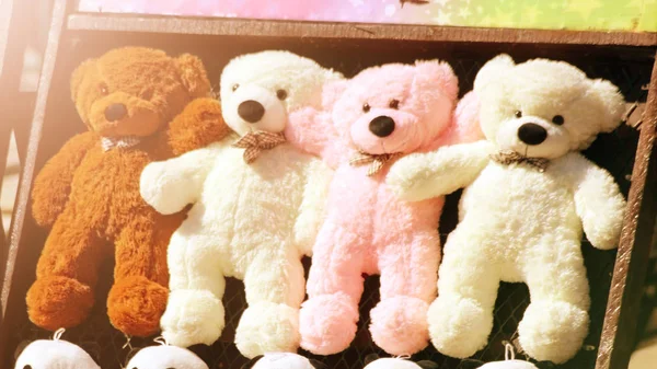 Teddy bear arranged in a row — Stock Photo, Image