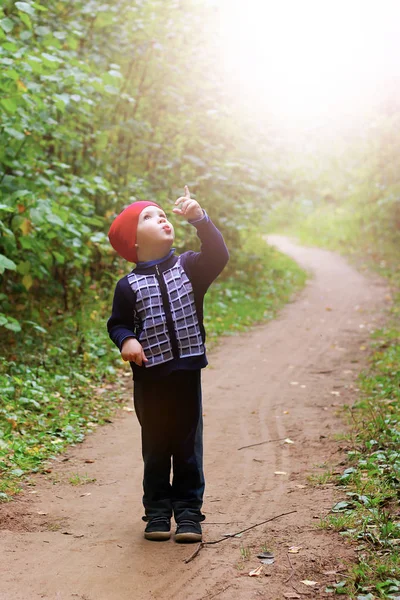 Маленький счастливый мальчик в осеннем лесу — стоковое фото