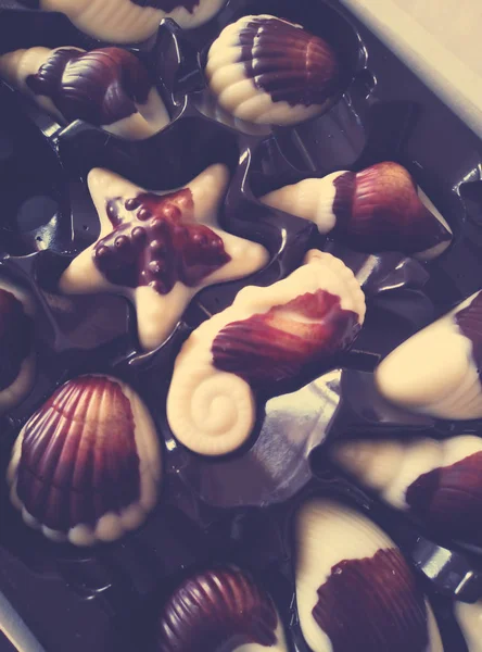 Chocolade Snoepschelpen Snoepjes Zeesterren — Stockfoto