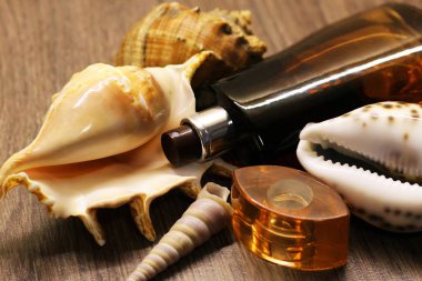 Kahverengi erkek parfümü ve deniz kabukları