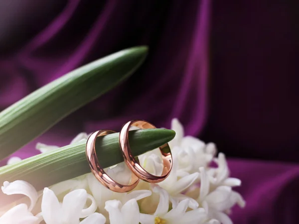 Dois Anéis Casamento Uma Flor Jacinto Branco Tão Perto — Fotografia de Stock