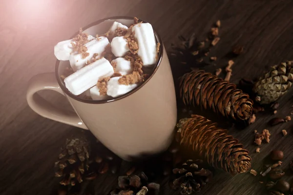 Chocolat Chaud Avec Guimauve Dans Une Tasse Proche — Photo