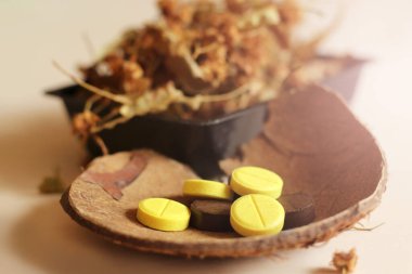 Hindistan cevizi kabuğu üzerinde tıbbi kapsüller, doğal ilaçlar, sağlık hizmetleri