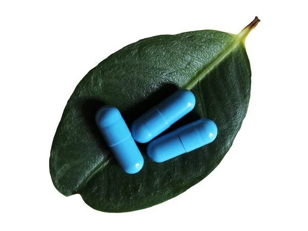 Blue Capsules Green Ficus Leaf Isolated White Background — Stock Photo, Image