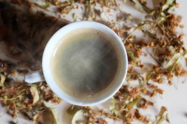 茶和香草 一种健康的热饮 — 图库照片