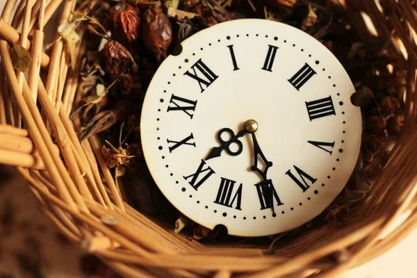 Viejo Reloj Con Números Romanos Hierbas Medicinales Medicina Antigua Vintage —  Fotos de Stock