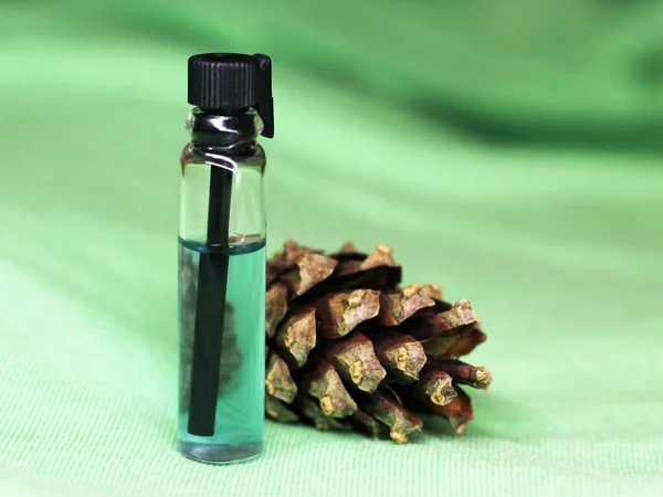 Natural Healing Balsam Pine Cones Close — Stock Photo, Image