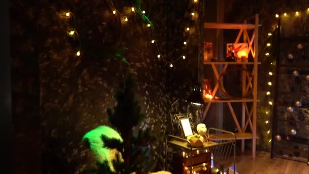 Nieuwe Jaar Boom Versierd Met Lichten Kerstmis Interieur Achtergrond — Stockvideo