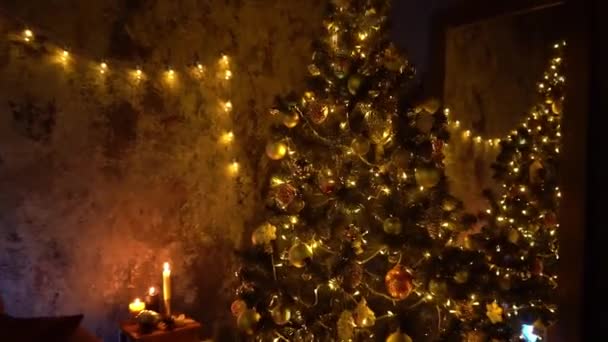 Tree Díszítik Fények Karácsonyi Belső Háttér — Stock videók