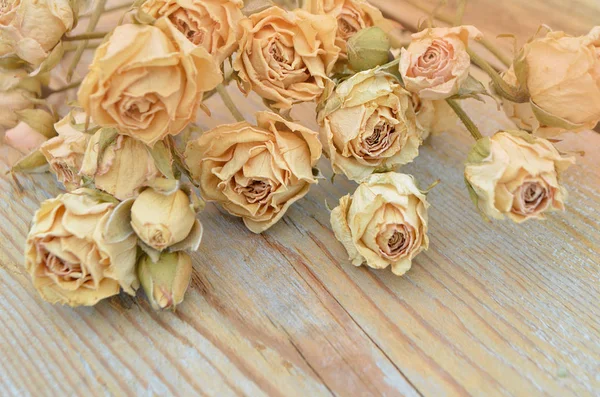 Withered rose on wooden background — Stock Photo, Image