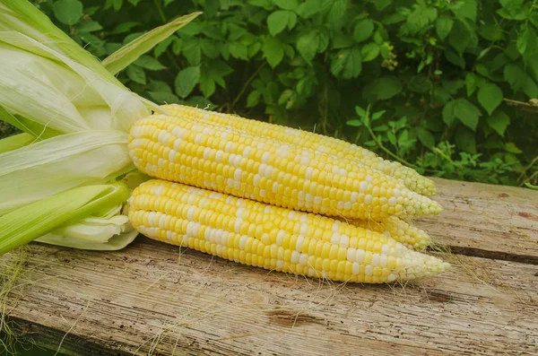 Kırsal ahşap masadaki koçanlarda taze mısır.