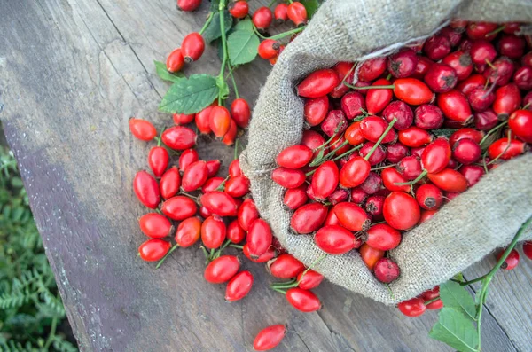 Hagebuttenfrüchte in einem Klebebeutel über einem hölzernen Hintergrund — Stockfoto