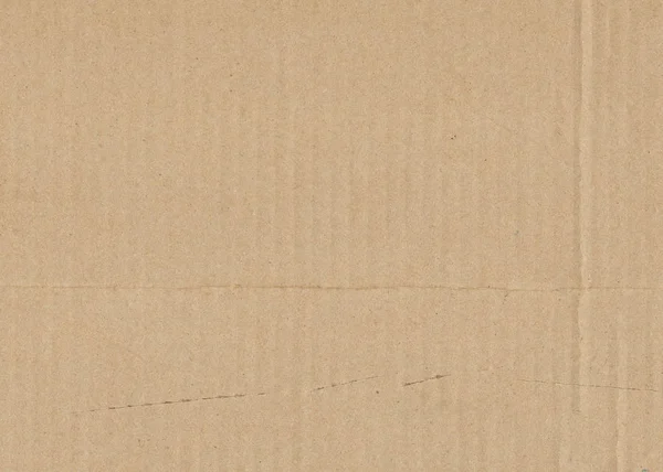 Paper cardboard  background
