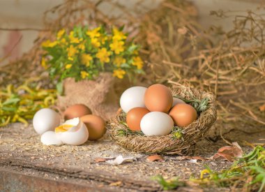 Eski ahşap zemin üzerine saman yuvadaki yumurta