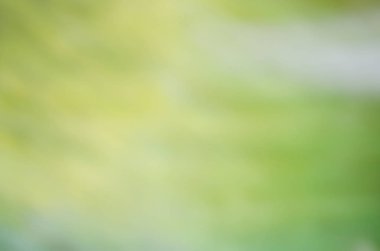 Doğal yeşil arkaplan