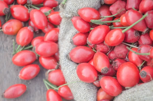 Бельевая сумка с ягодами шиповника — стоковое фото