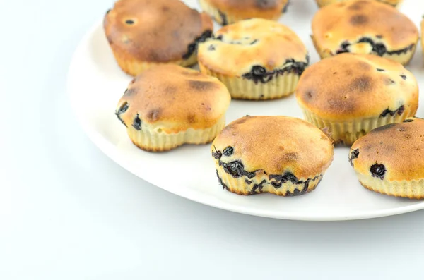 Muffins aux myrtilles faits maison — Photo