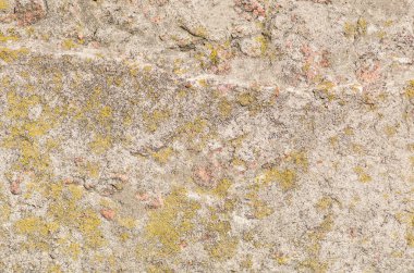 aşınmış beyaz beton duvar arka plan