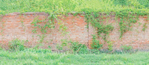 Háttér régi piros tégla fal — Stock Fotó