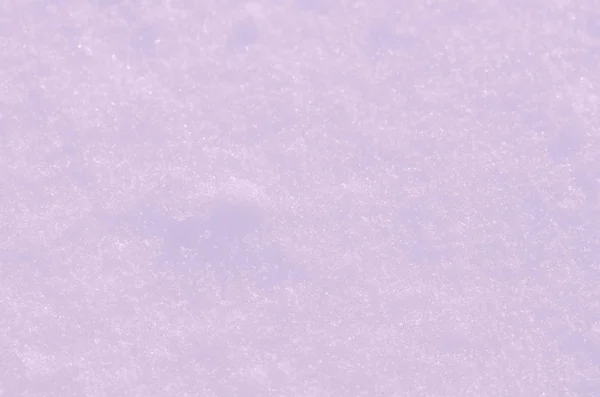 Snow violet texture for background. Natural violet snow background