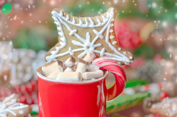 Cup of hot chocolate or cocoa with gingerbread — Stock Photo, Image