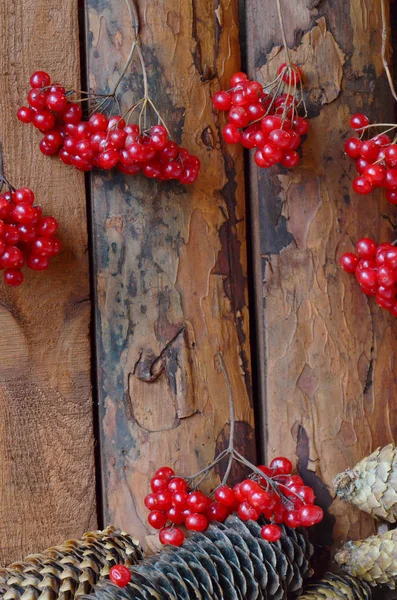 Branches of viburnum and spruce cones on a wooden table — Stock Photo, Image