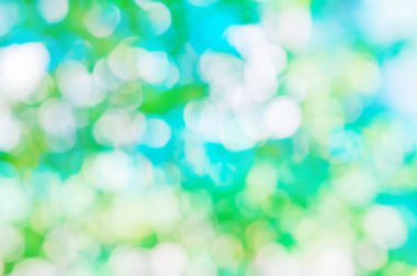 Doğal yeşil arkaplan bulanık.