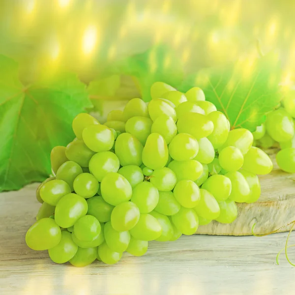 Frische grüne Trauben mit Blättern. grüne Trauben Frucht — Stockfoto