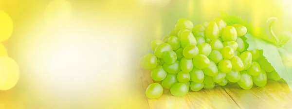 Reife weiße Trauben — Stockfoto