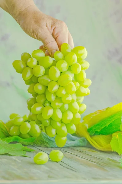 Agricultor mostra um monte de uvas brancas colhidas — Fotografia de Stock