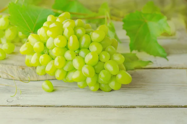 Frische grüne Trauben. Trauben und Weinblätter — Stockfoto