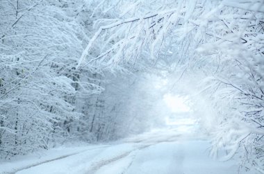 Kış manzara yol kar ile kaplı