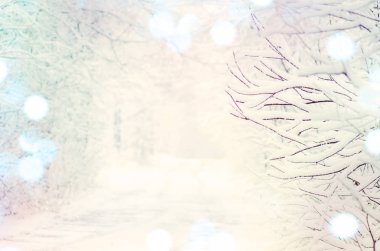 Vadi kar kaplı. Taze kar kış ormanı