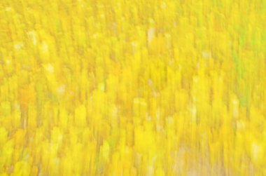 Altın Christmas arka plan