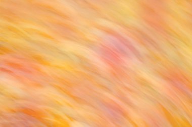 Hareket yeşillik sonbahar bulanık. Doku hareket sonbahar ağaç