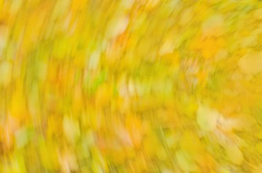 Turuncu ışıltı bokeh bulanıklık. Bokeh sonbahar arka plan.