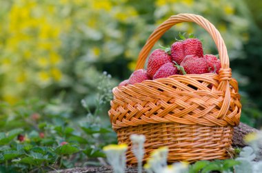 Hasır sepetinde yeşil yapraklı çilekler 