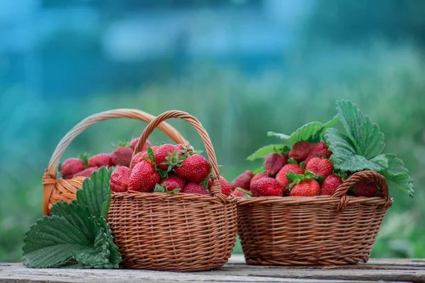 Strawberries with green leaves in a wicker baskets — Stock Photo, Image