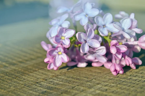 Bouquet of purple lilac flowers on wooden background — Stock Photo, Image