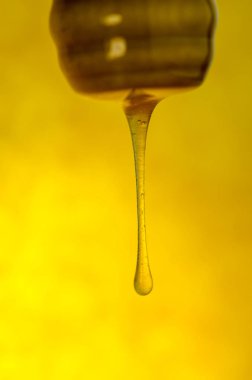  Stream of honey flows. Stream of pouring honey