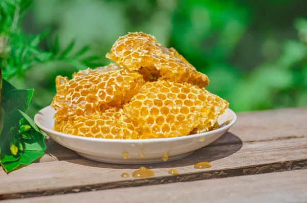 Dulce panal de miel fresca. Miel y panales . — Foto de Stock