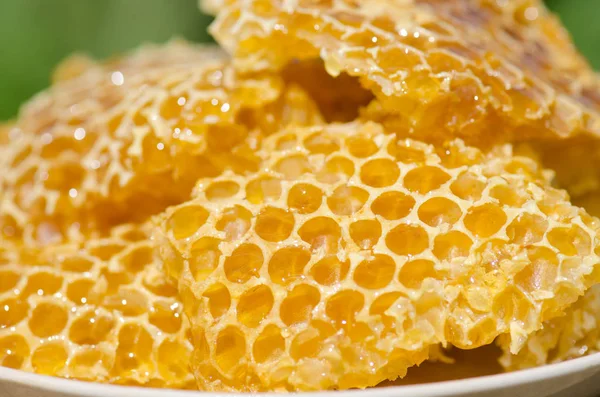 Dulce panal de miel. Panal de abeja y miel fresca — Foto de Stock