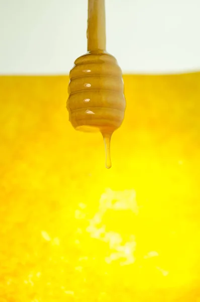 Sweet amber flower honey flows. Honey flow dropping — Stok fotoğraf